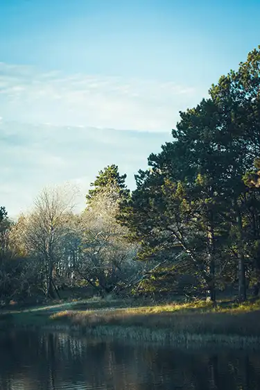 Waterleidingduinen
