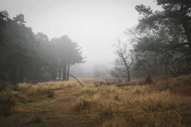 Waterledingduinen