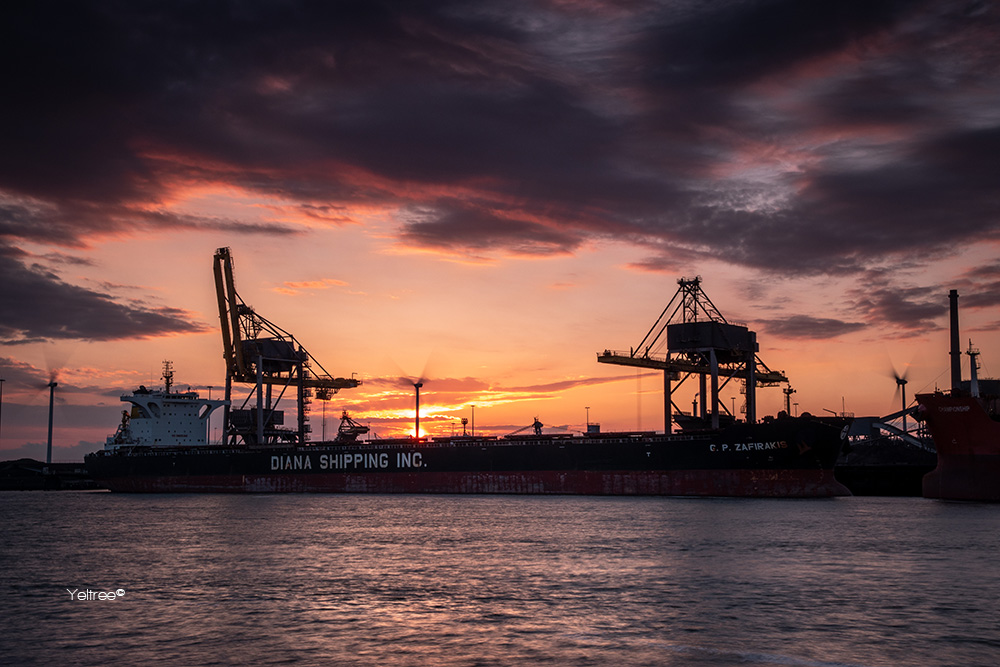 Diana Shipping-thumb