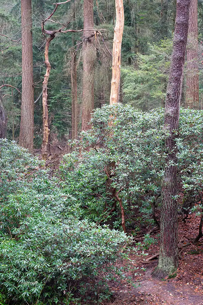 Landgoed Schovenhorst