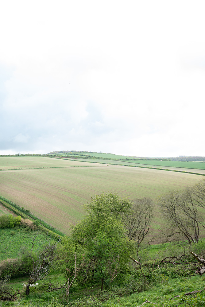 Heel uitgestrekt-thumb