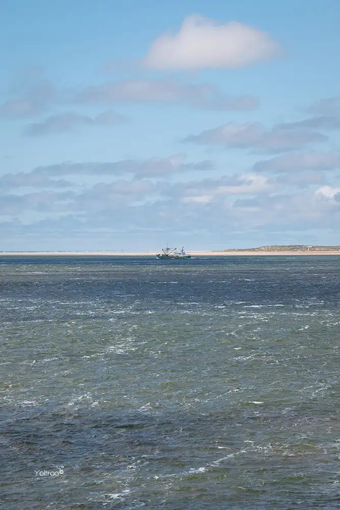 Texels bootje-thumb