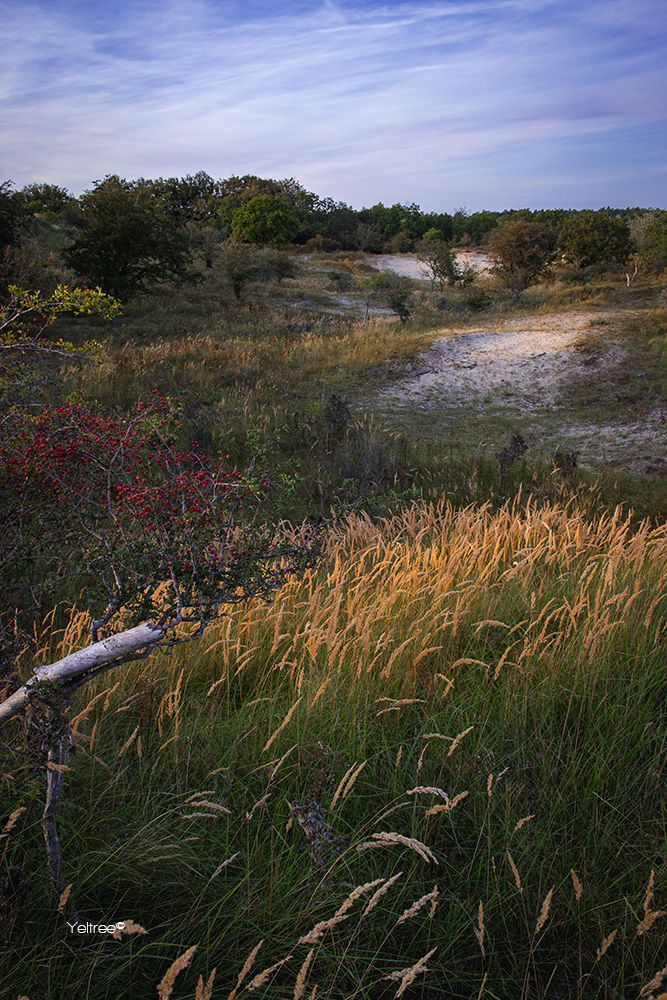 Duinen of heuvels-thumb